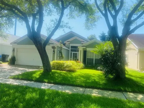 8804 Sheldon Chase Drive Tampa FL 33635
