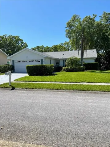 1666 E Dorchester Court Palm Harbor FL 34684