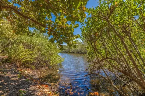 8244 Lapin Court Seminole FL 33777
