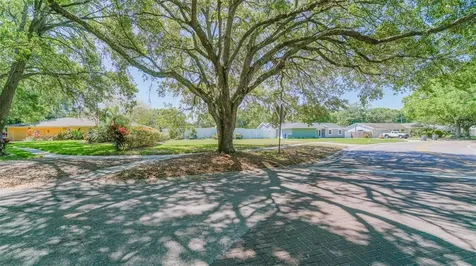 3102 Mcfarland Road Tampa FL 33618