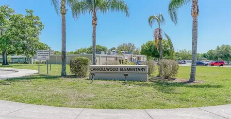 3102 Mcfarland Road Tampa FL 33618