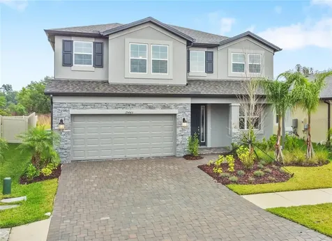 19443 Redwood Point Drive Tampa FL 33647