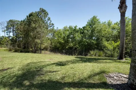 3044 White Orchid Road Kissimmee FL 34747