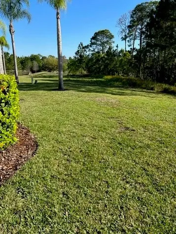 3044 White Orchid Road Kissimmee FL 34747
