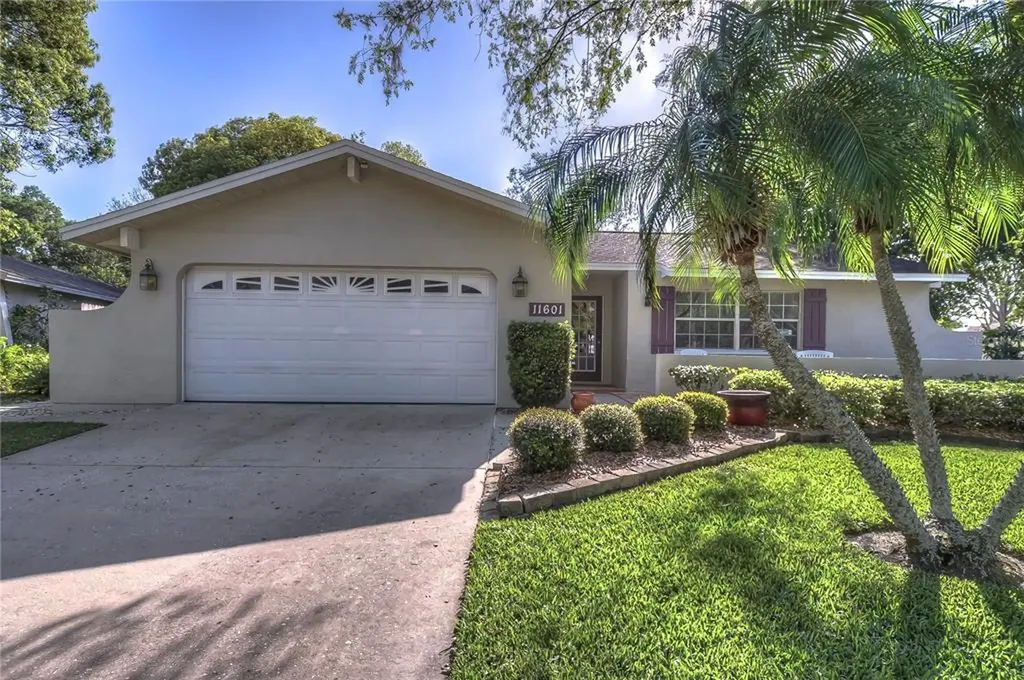 11601 Painted Hills Lane Tampa FL 33624