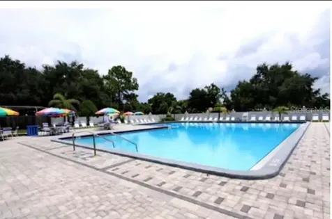 4311 Longshore Drive Land O Lakes FL 34639