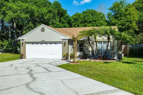 4966 Cypress Trace Drive Tampa FL 33624