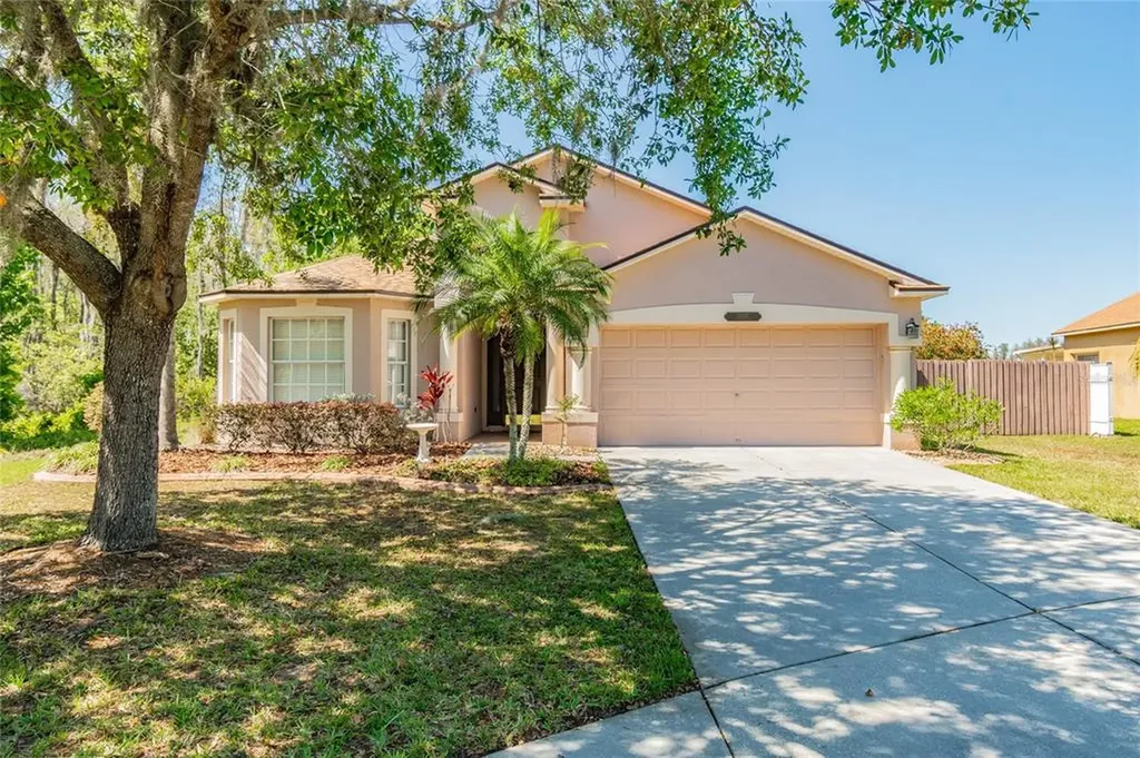 31137 Harthorn Court Wesley Chapel FL 33543
