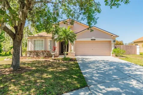 31137 Harthorn Court Wesley Chapel FL 33543
