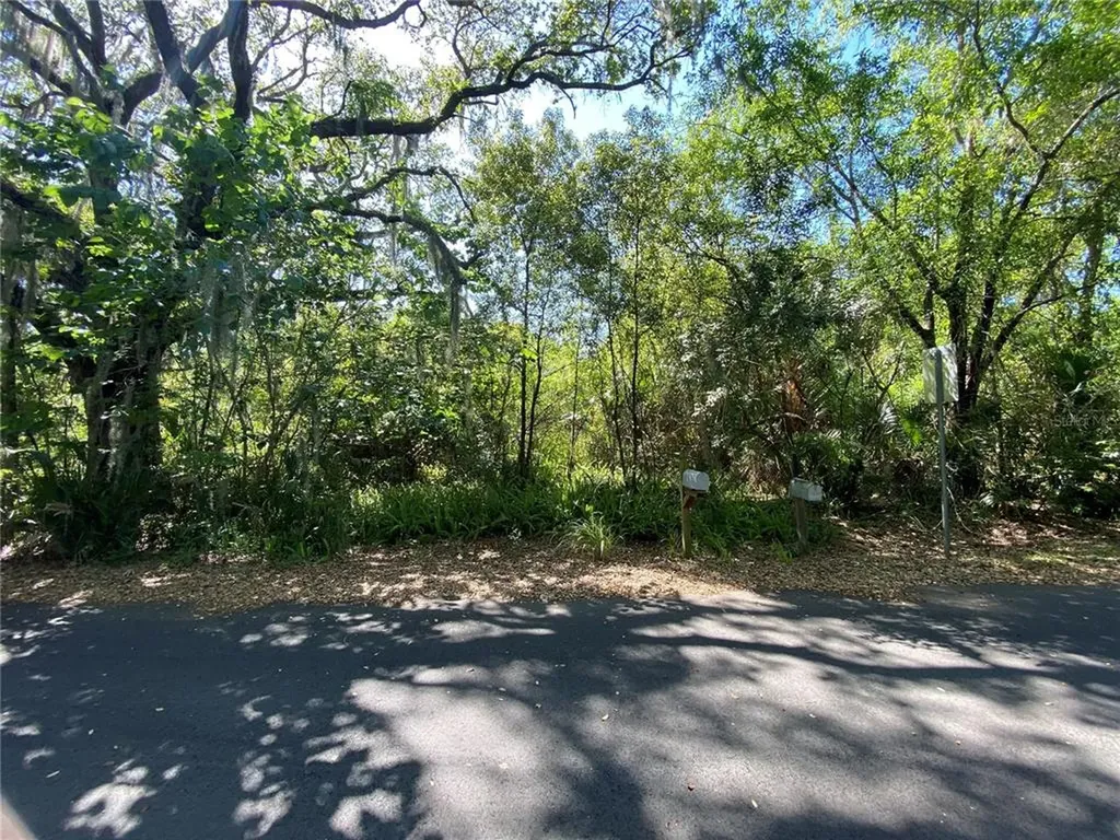1724 Roseberry Lane Sanford FL 32771