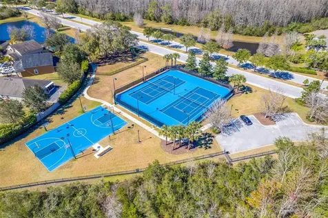 8110 Water Color Drive Land O Lakes FL 34638