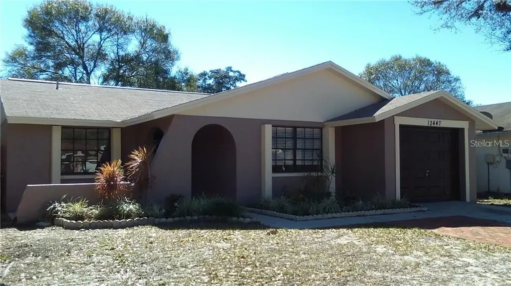 12447 Mondragon Drive Tampa FL 33625