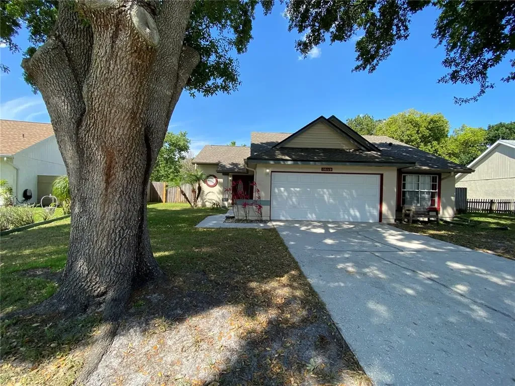 10119 Pink Carnation Court Orlando FL 32825