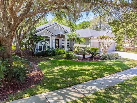 19104 Saint Laurent Drive Lutz FL 33558