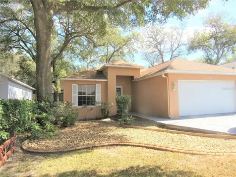 8711 Busch Oaks Street Tampa FL 33617