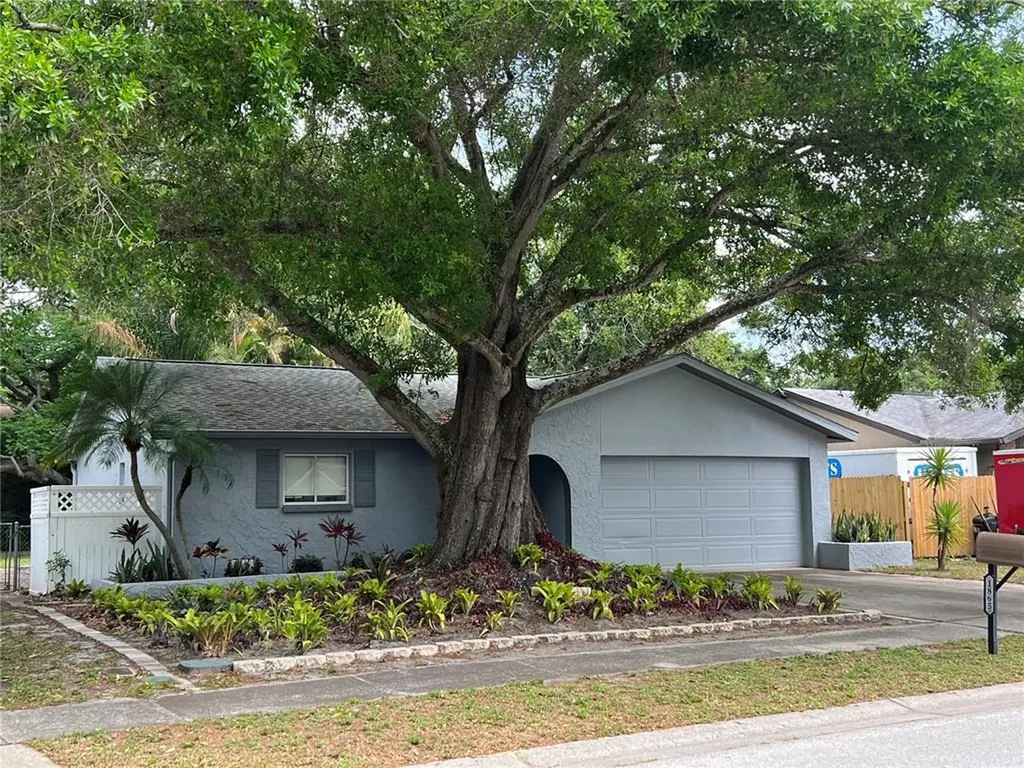1865 Elaine Drive Clearwater FL 33760