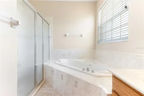 17238 Porter Avenue Montverde FL 34756