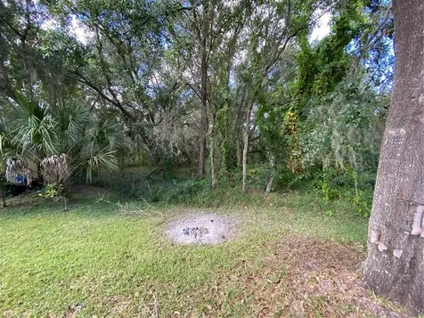 2551 Shortleaf Court Kissimmee FL 34746