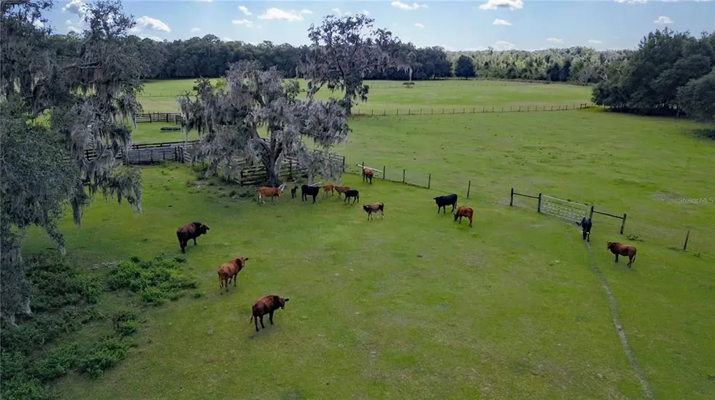 3750 E Cart Lane Inverness FL 34453