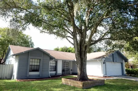 16208 Sawgrass Circle Tampa FL 33624