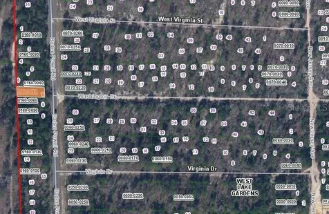 467 Baden Powell Road Hawthorne FL 32640