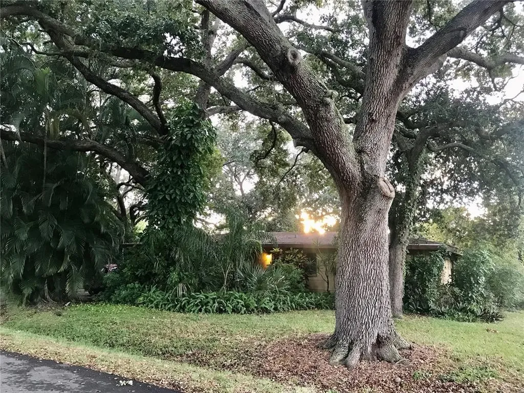 6234 Rodgers Avenue Sarasota FL 34231