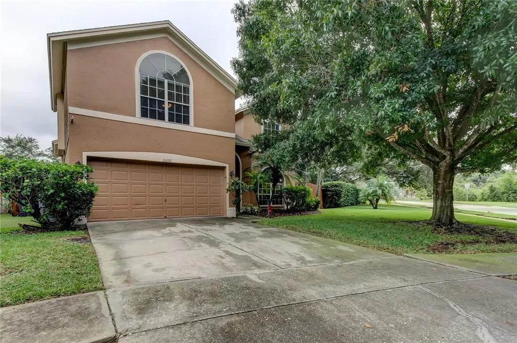 10292 Oasis Palm Drive Tampa FL 33615