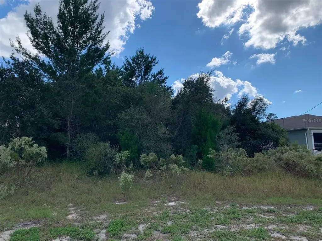 10110 Langan Street Spring Hill FL 34608