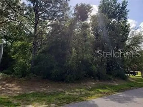 8074 N Pickinz Way Citrus Springs FL 34433