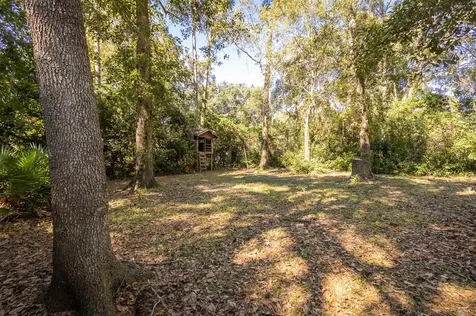4214 NW 15th Place Gainesville FL 32605