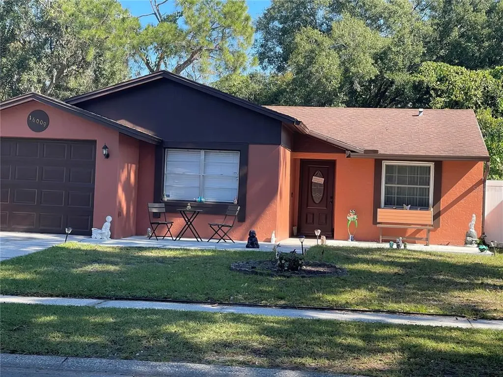 16009 Sharewood Drive Tampa FL 33618