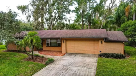 18822 Tracer Drive Lutz FL 33549