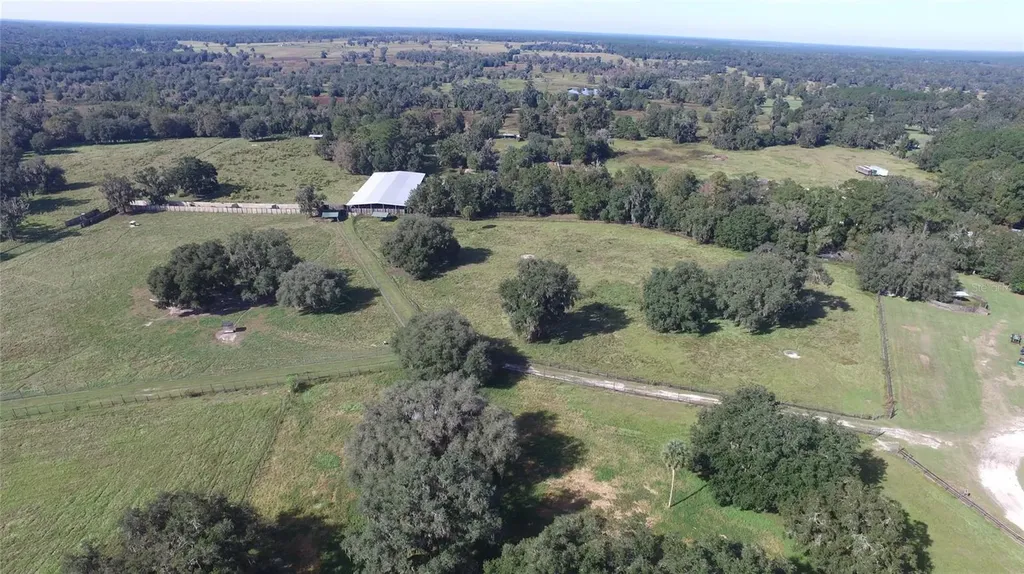 19350 NW 123rd Court Micanopy FL 32667