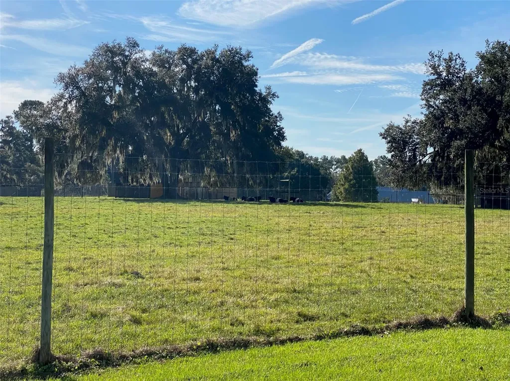 19350 NW 123rd Court Micanopy FL 32667