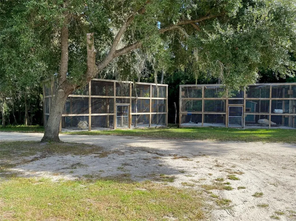 19350 NW 123rd Court Micanopy FL 32667