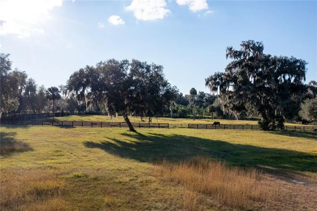 19350 NW 123rd Court Micanopy FL 32667