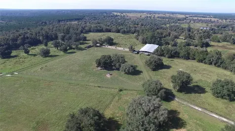 19350 NW 123rd Court Micanopy FL 32667