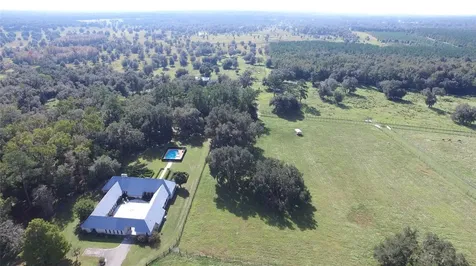 19350 NW 123rd Court Micanopy FL 32667