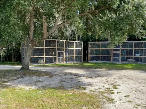 19350 NW 123rd Court Micanopy FL 32667