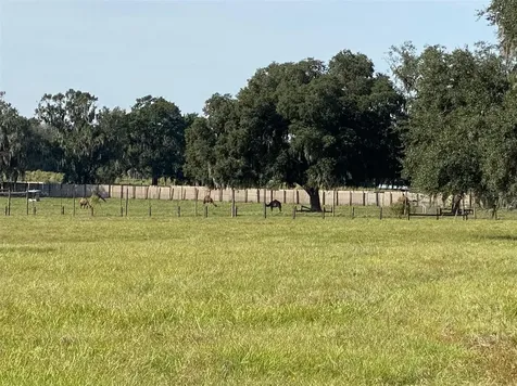 19350 NW 123rd Court Micanopy FL 32667