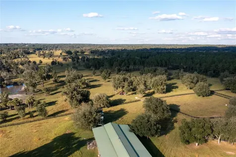 19350 NW 123rd Court Micanopy FL 32667