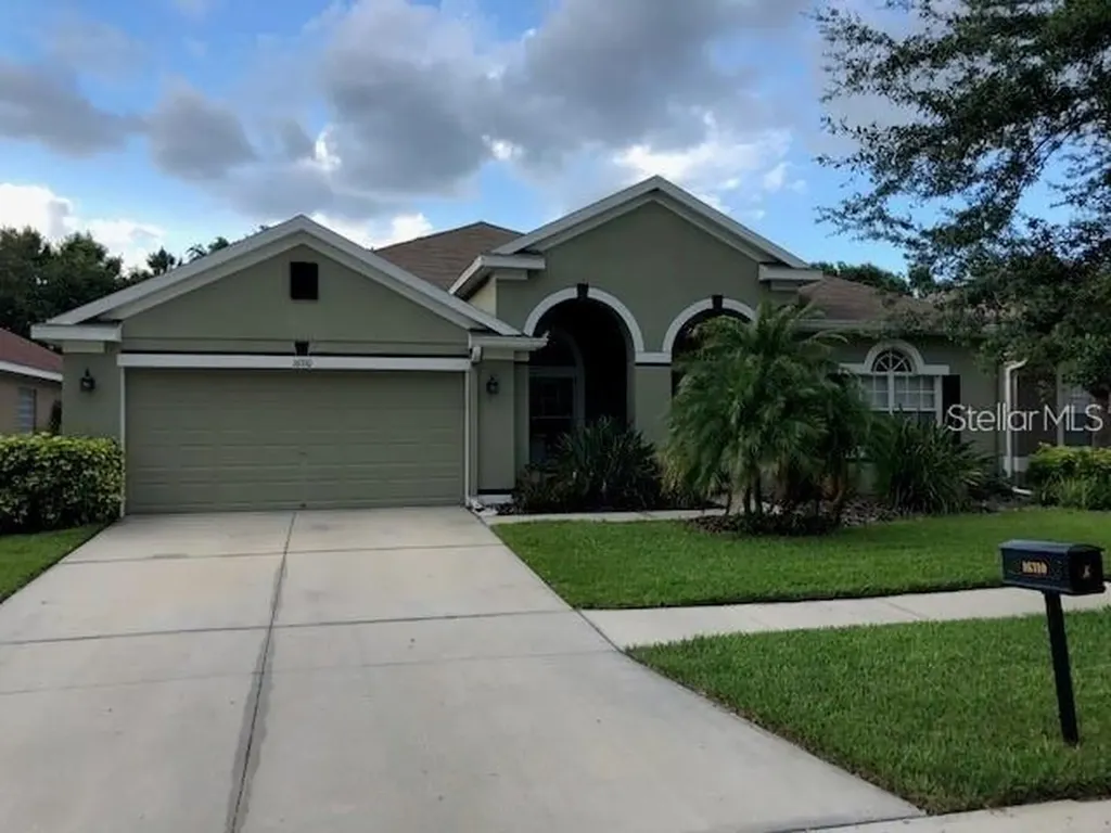 16310 Bridgelawn Avenue Lithia FL 33547