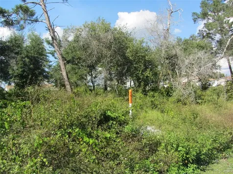 1688 Catalina Boulevard Deltona FL 32738