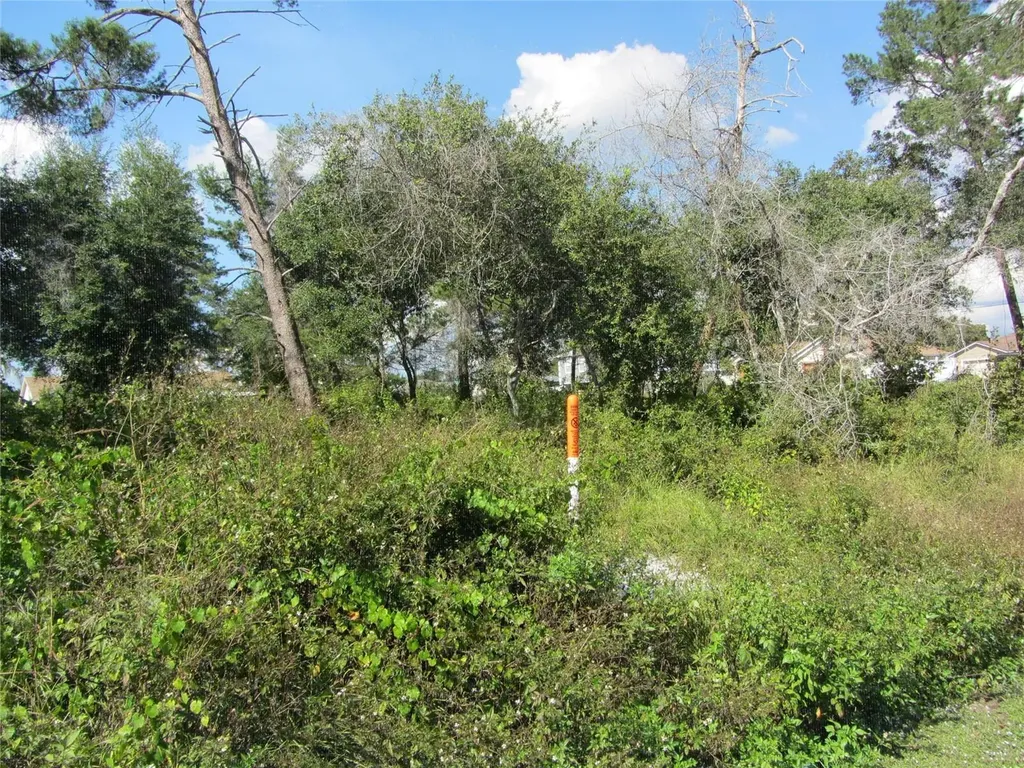 1684 Catalina Boulevard Deltona FL 32738