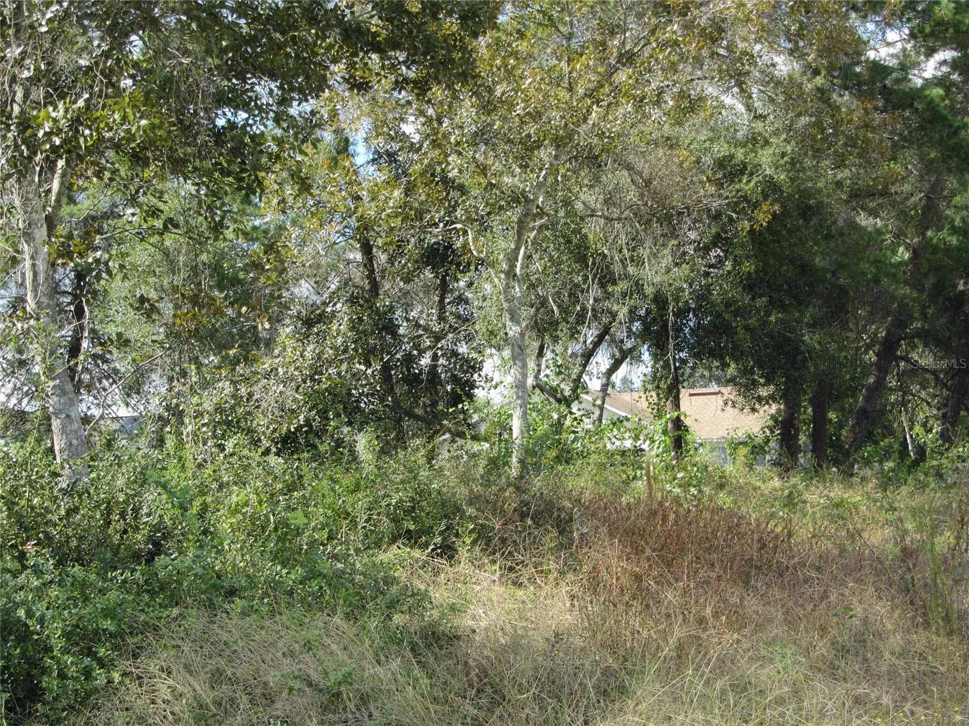 1684 Catalina Boulevard Deltona FL 32738