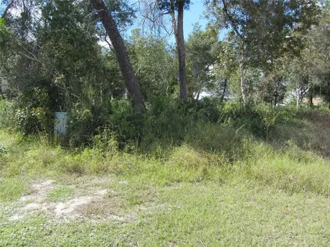 1684 Catalina Boulevard Deltona FL 32738