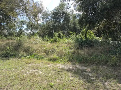 1688 Catalina Boulevard Deltona FL 32738
