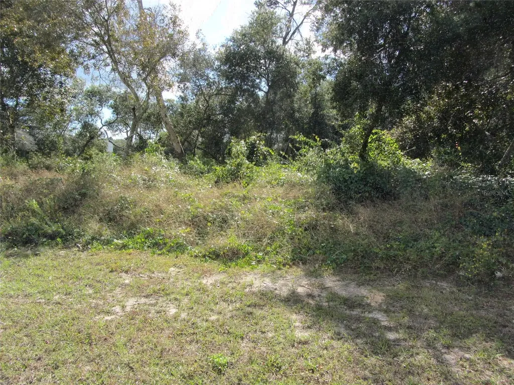 1684 Catalina Boulevard Deltona FL 32738