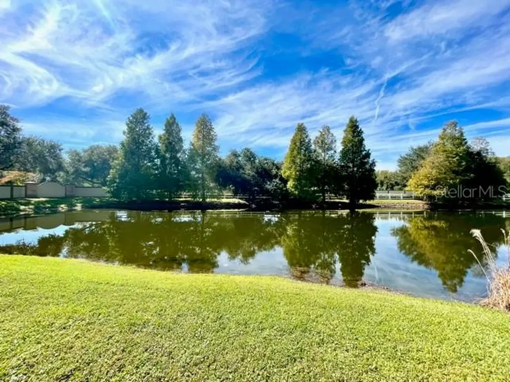 3738 Judson Drive Land O Lakes FL 34638