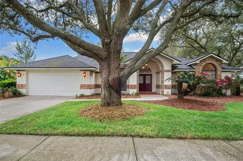 1619 Palace Court Valrico FL 33594